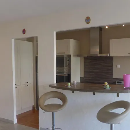 Les Cyclades Apartment Nice